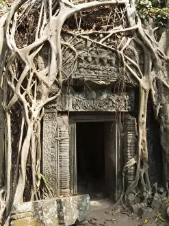 Angkor Prints: Picture No. 10761607