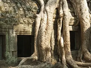 Angkor Prints: Picture No. 10761609