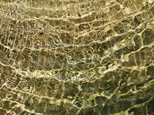 Images Dated 12th June 2010: Picture No. 10761703