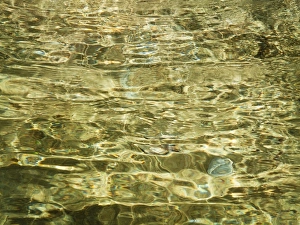 Images Dated 12th June 2010: Picture No. 10761704