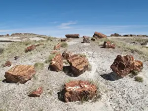 Logs Prints: Picture No. 10761727