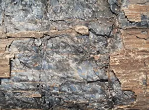 Metals Prints: Picture No. 10761732