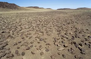 Damaraland Prints: Picture No. 10761809