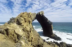 Picture No. 10761819