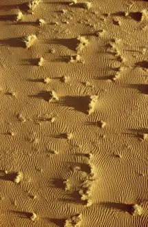Structural Prints: Picture No. 10761823