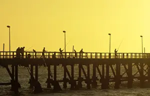 Jetty Prints: Picture No. 10761826