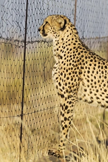 Images Dated 2009 August: 