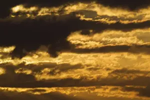 Warmth Prints: Picture No. 10761992