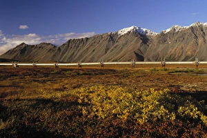 Alaskan Collection: Picture No. 10762864