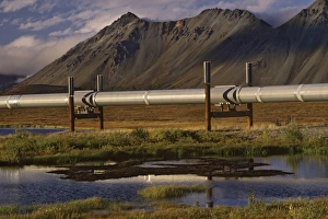 Alaskan Collection: Picture No. 10762867