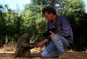 Baboons Prints: Picture No. 10763947