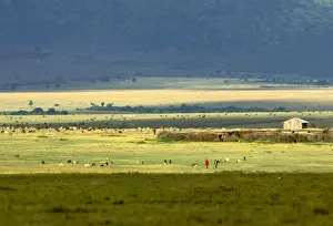 Farmers Prints: Picture No. 10764112