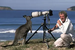 Photographers Prints: Picture No. 10764209