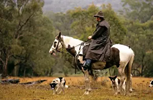 Farmers Prints: Picture No. 10764477