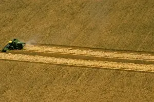 Harvests Prints: Picture No. 10764557