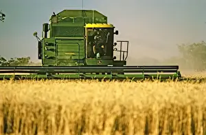 Harvests Prints: Picture No. 10764558