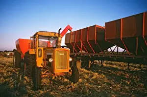 Harvests Prints: Picture No. 10764588