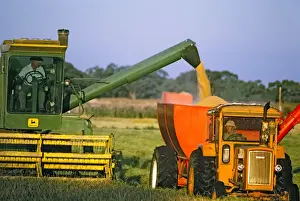 Harvests Prints: Picture No. 10764589