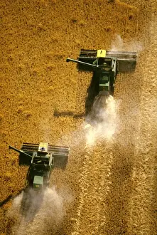 Harvests Prints: Picture No. 10764663