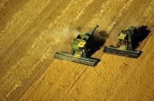 Harvests Prints: Picture No. 10764666