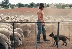 Herding Prints: Picture No. 10766684