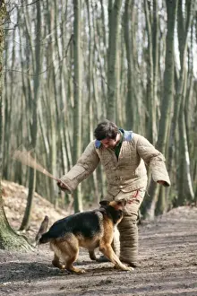 Trained Prints: Picture No. 10766812