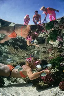Divers Prints: Picture No. 10767388