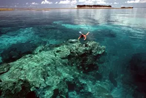 Reefs Prints: Picture No. 10767548