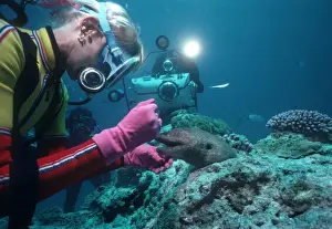 Moray Prints: Picture No. 10767999