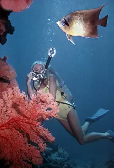 Woman Prints: Picture No. 10768001