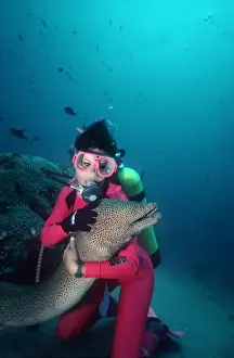 Divers Prints: Picture No. 10768013