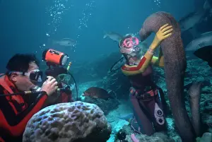 Divers Prints: Picture No. 10768015