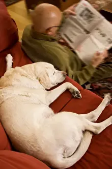 Sofa Prints: Picture No. 10769371