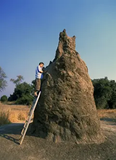 Mounds Prints: Picture No. 10769401