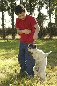 Treat Prints: Picture No. 10769476