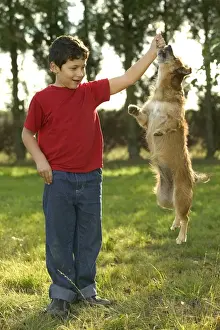 Treat Prints: Picture No. 10769477