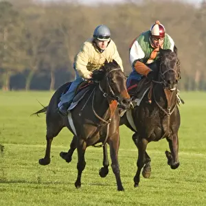 Race Prints: Picture No. 10770875