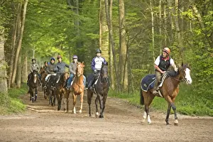 Riders Prints: Picture No. 10771712