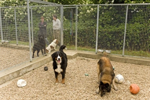 Images Dated 30th June 2000: Picture No. 10772099
