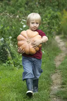 Pumpkin Prints: Picture No. 10772563
