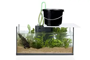 Tank Prints: Picture No. 10774536
