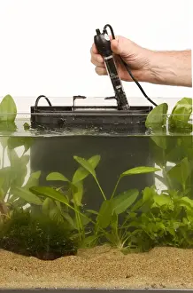 Tank Prints: Picture No. 10774540