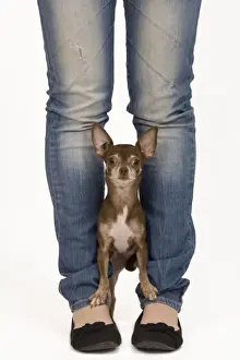 Trick Prints: Picture No. 10775929
