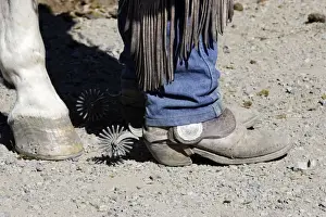 Cowboy Prints: Picture No. 10778364