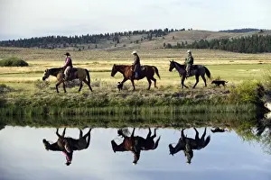 Cowboy Prints: Picture No. 10778376