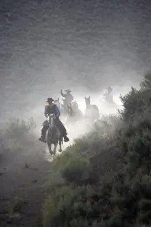 Cowboy Prints: Picture No. 10778378