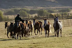 Ranches Prints: Picture No. 10778393