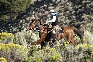 Ranches Prints: Picture No. 10778437