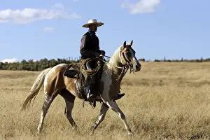 Ranches Prints: Picture No. 10778438