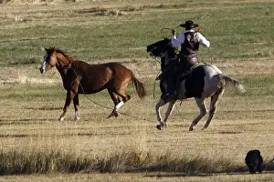 Ranches Prints: Picture No. 10778441